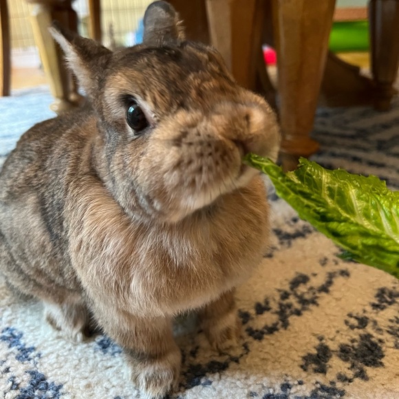 Thank you for shopping small - Picture 2 of 6